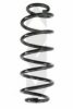 SPIDAN 86690 Coil Spring